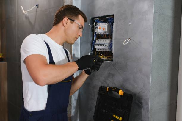Best Local Electrician Companies  in Whitney Point, NY